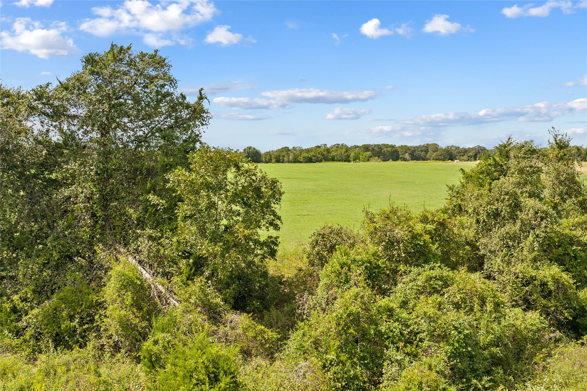 TBD (10 Acres) FM 3403