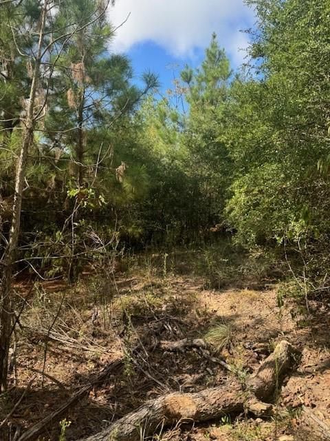 Photo of Lot 1339 Tahitian DR, Bastrop, TX 78602 (MLS # 9655827)
