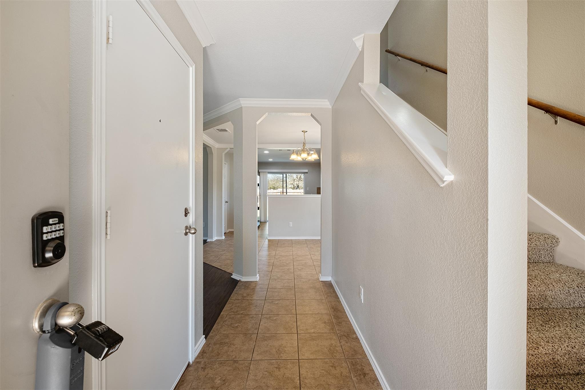 100 Snowy Egret LN