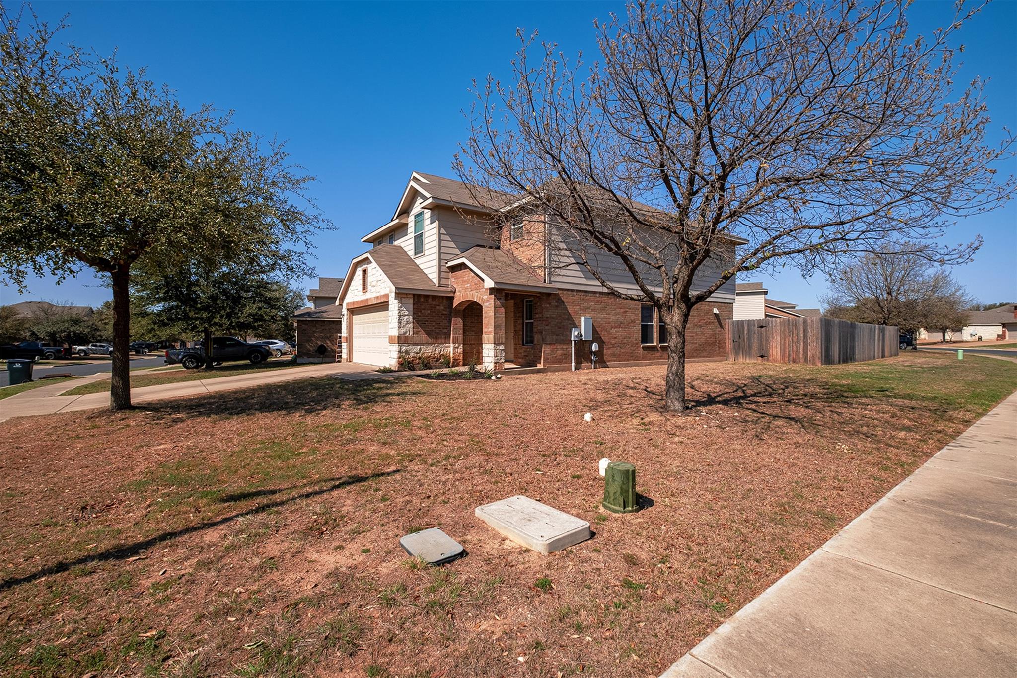 100 Snowy Egret LN