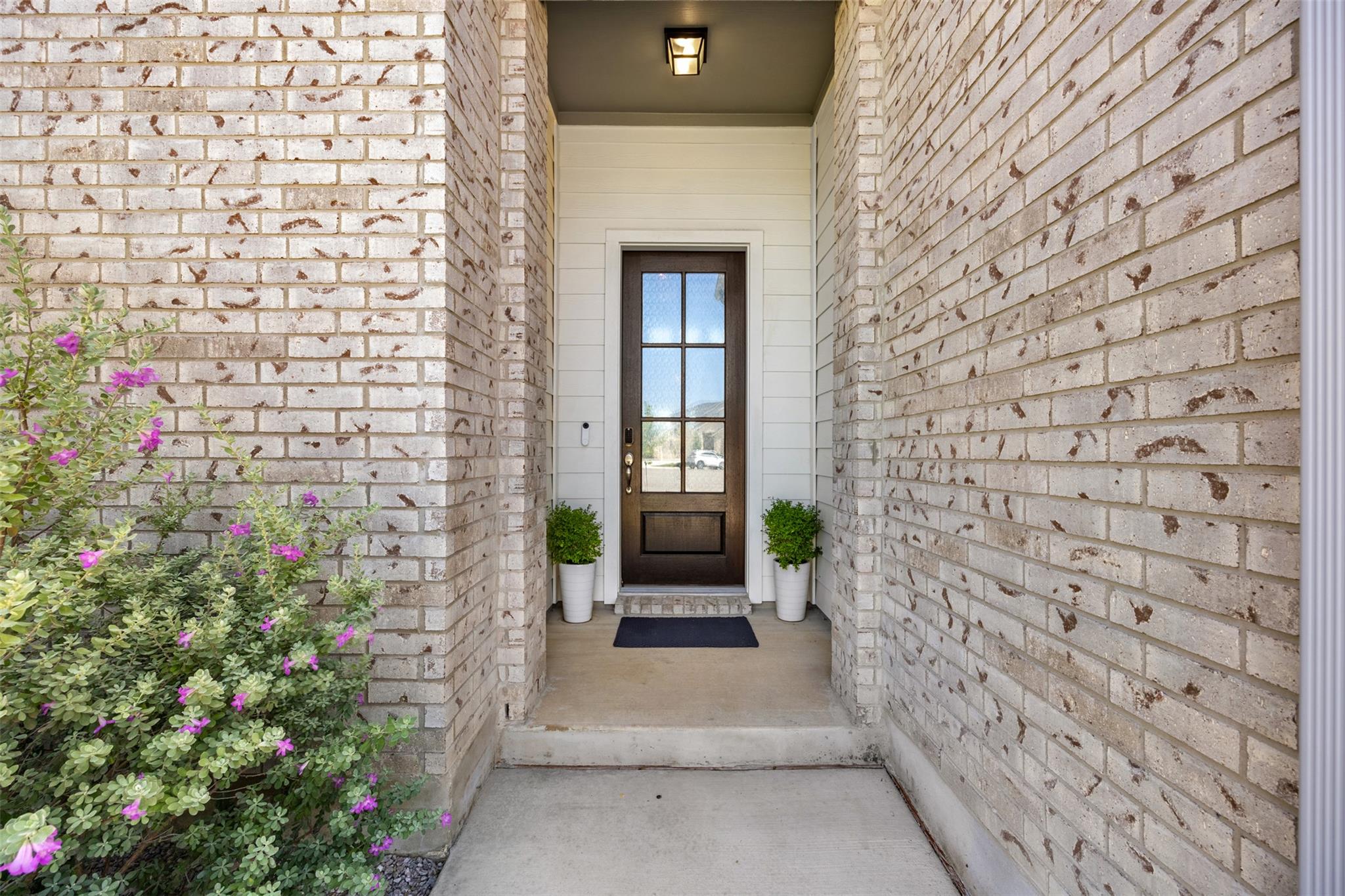 341 Alicante LN