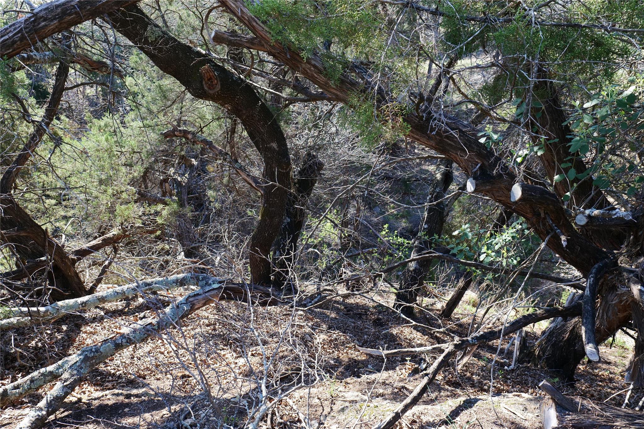 17442 E Reed Park RD