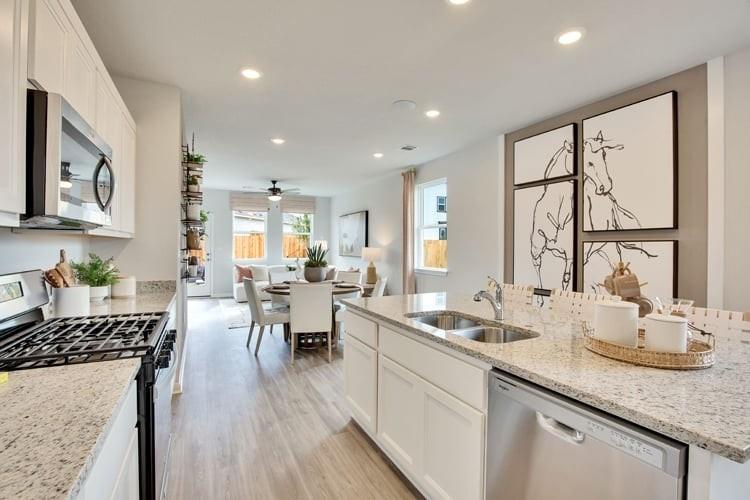 13502 Desert Orchid DR