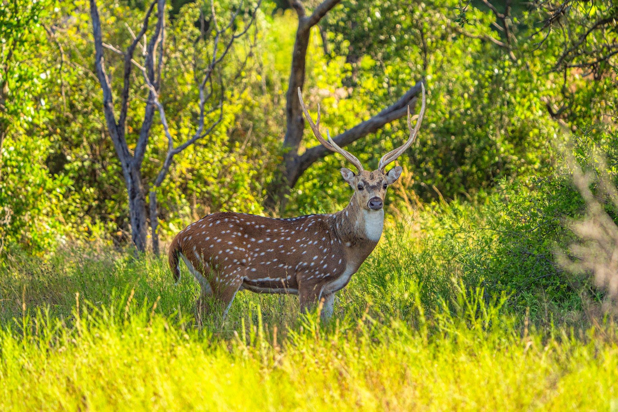 3021 Farm to Market 1689