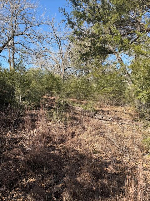 Lot 109 Wailupe CIR Bastrop TX 78602