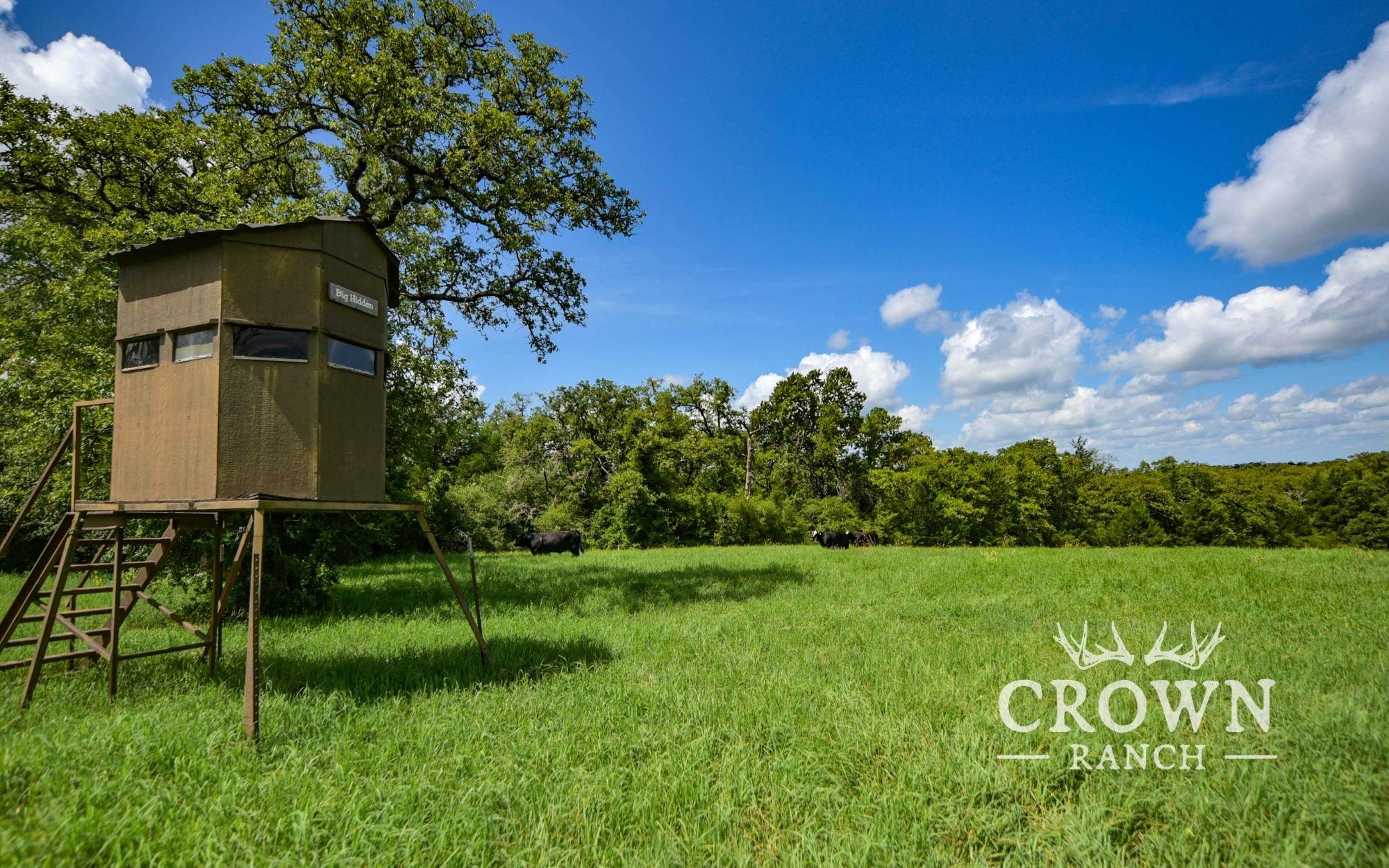 TBD FM 908 (+/-657 acres)