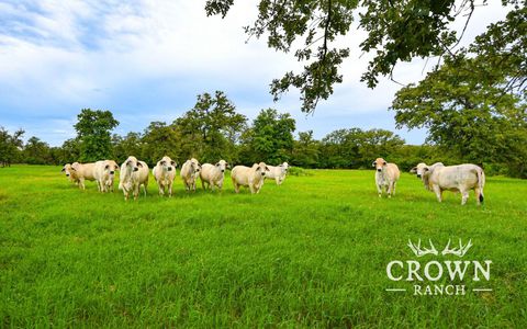 TBD FM 908 (+/-657 acres) Caldwell TX 77836