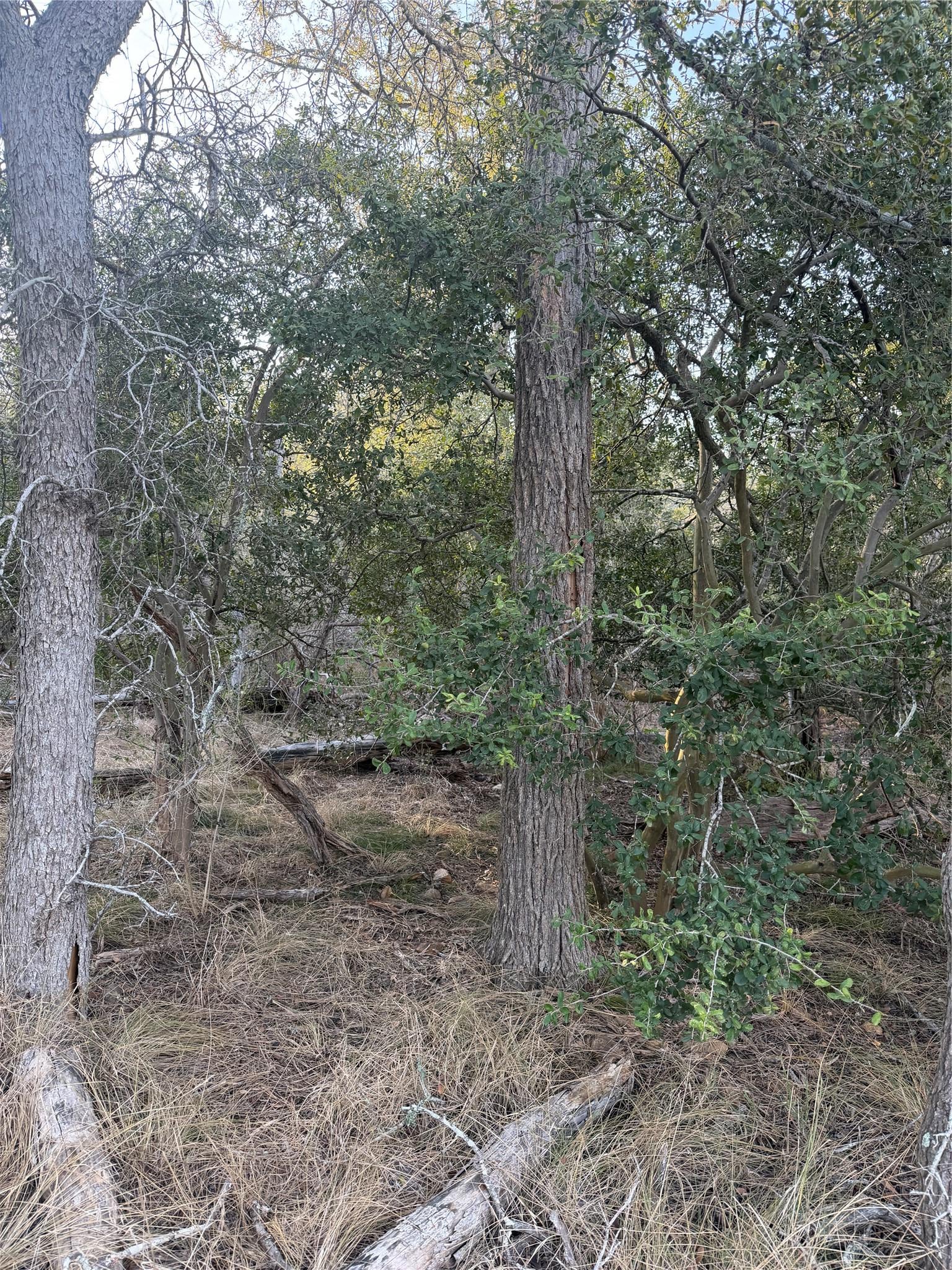 159 Helemano DR