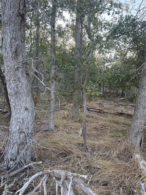 159 HELEMANO DR, BASTROP, TX 78602 - Image 8e2e4e8cfe86ededa85696ff057cfdca/1800014733