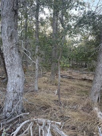 159 Helemano DR Bastrop TX 78602