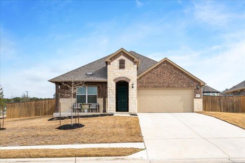 Photo of 113 Muddy Creek WAY, Kyle, TX 78640 (MLS # 9418985)