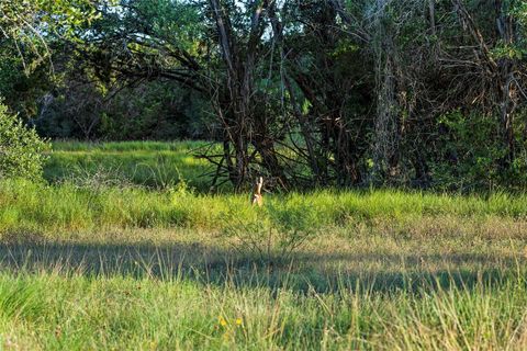 Tiny photo for 5229 & 5012 Hupedo Ranch RD, Spicewood, TX 78669 (MLS # 4586010)