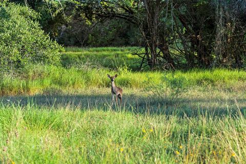 Tiny photo for 5229 & 5012 Hupedo Ranch RD, Spicewood, TX 78669 (MLS # 4586010)