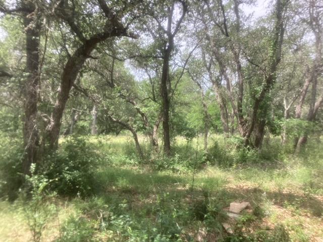 5943 County Road 200