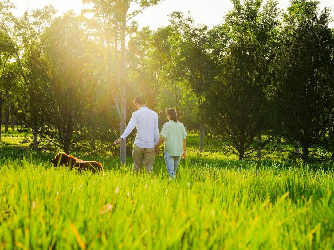 14506 Annie Crossing DR