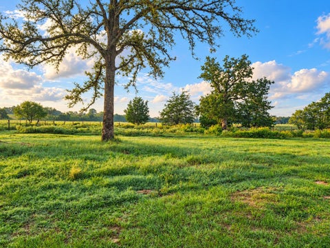 Photo of 1791 County Road 441, Harwood, TX 78632 (MLS # 8339275)