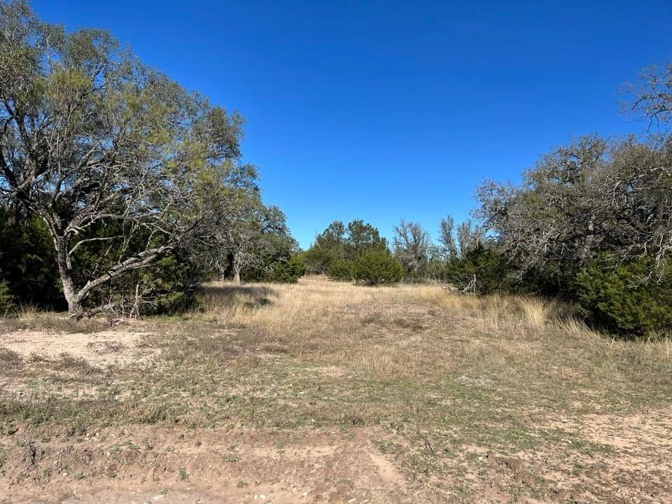 118 Spanish Oak DR
