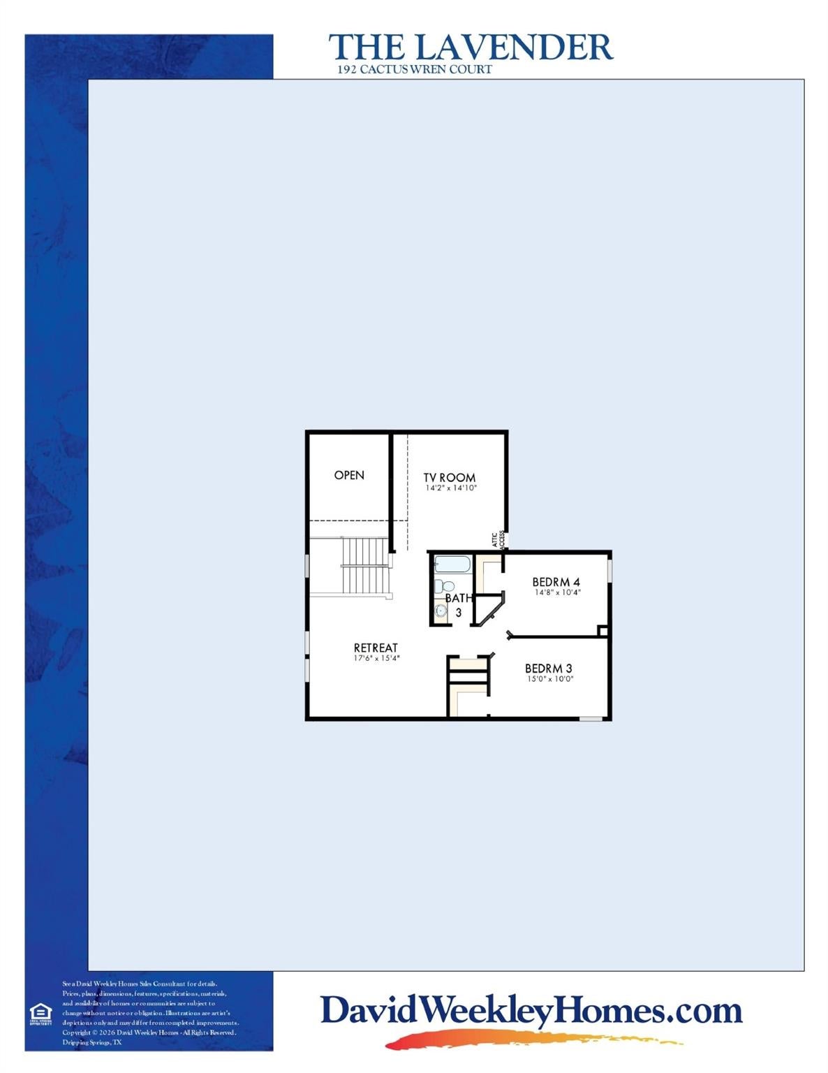192 Cactus Wren CT
