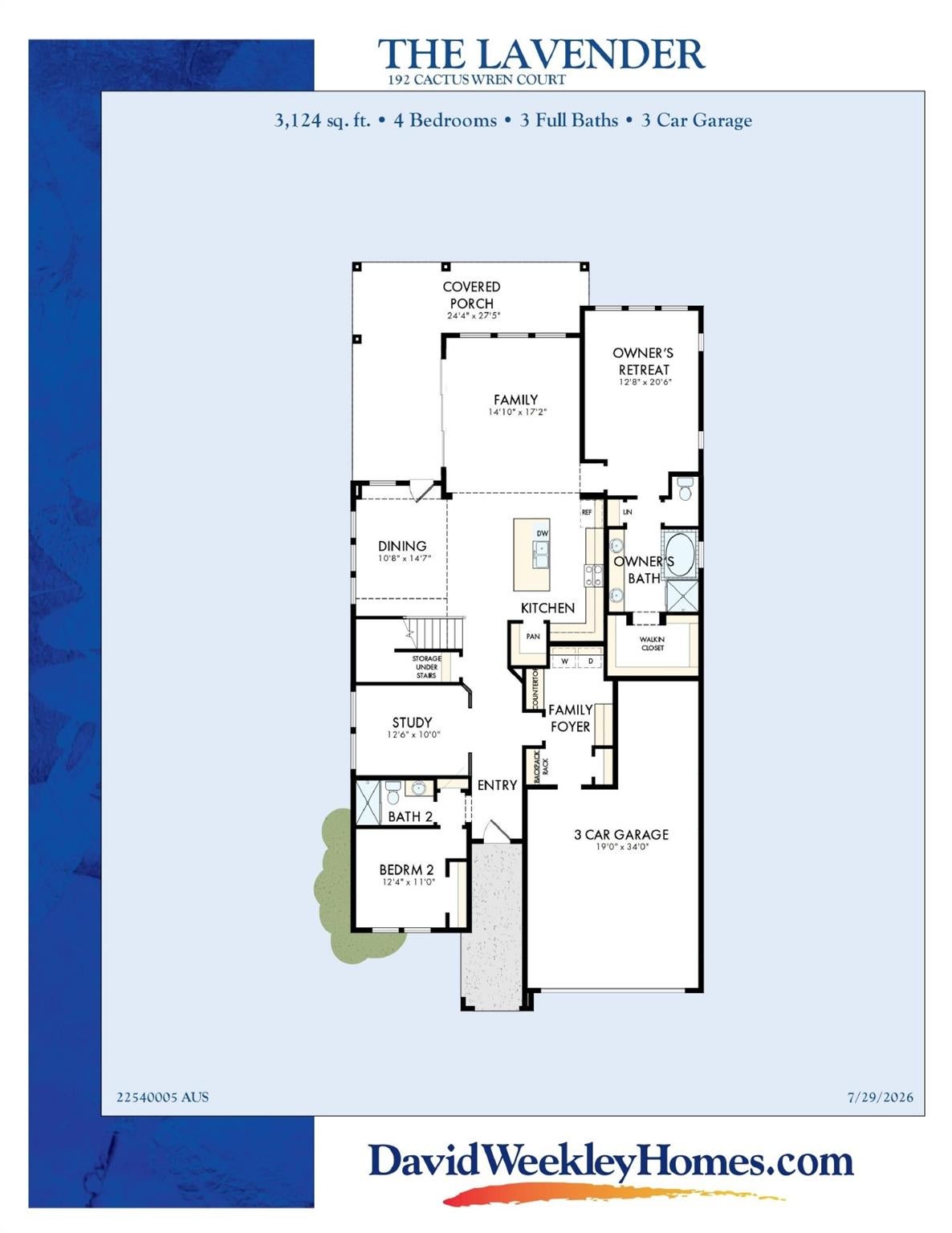 192 Cactus Wren CT
