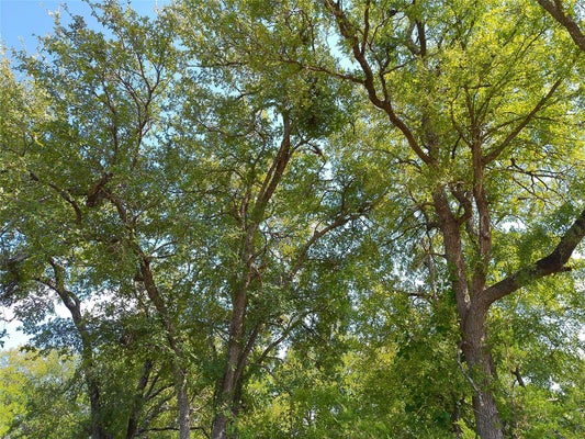 LOT 33 SERENITY DR, BERTRAM, TX 78605 - Image 90d4d53730c5e5ccde6cd65568f997b1/206467597