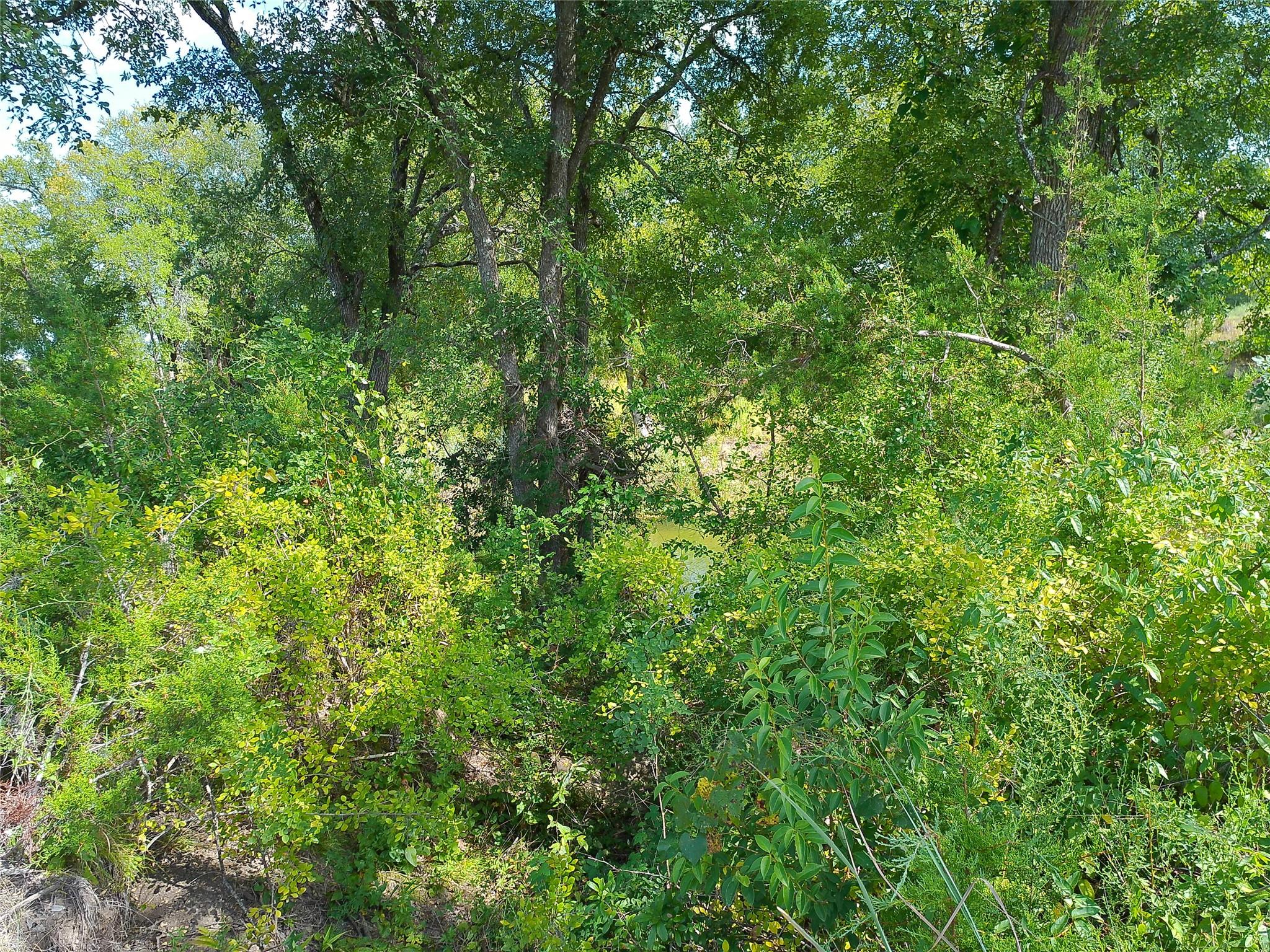 Lot 33 Serenity DR