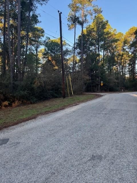 Photo of 103 Lake Point WAY, Bastrop, TX 78602 (MLS # 8829139)