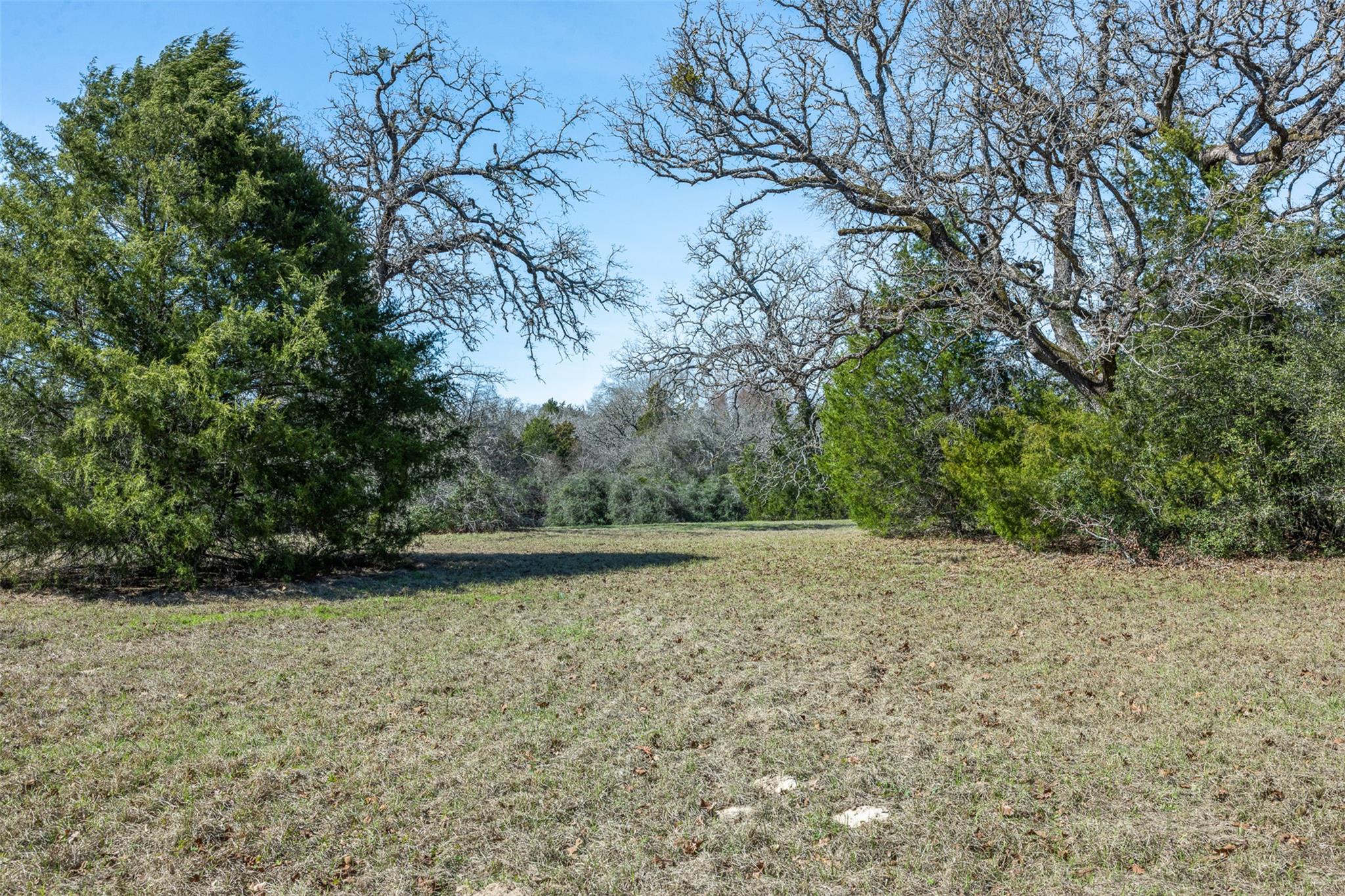 Lot 5 (2.74 Acres) Pauline LN