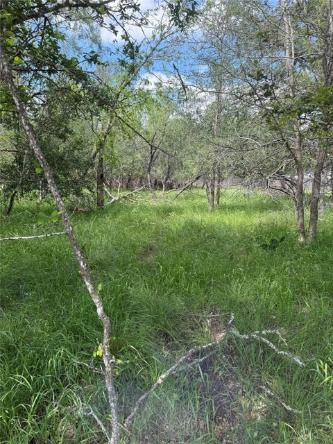 Photo of Lot 200 Nene LN, Bastrop, TX 78602 (MLS # 3000337)