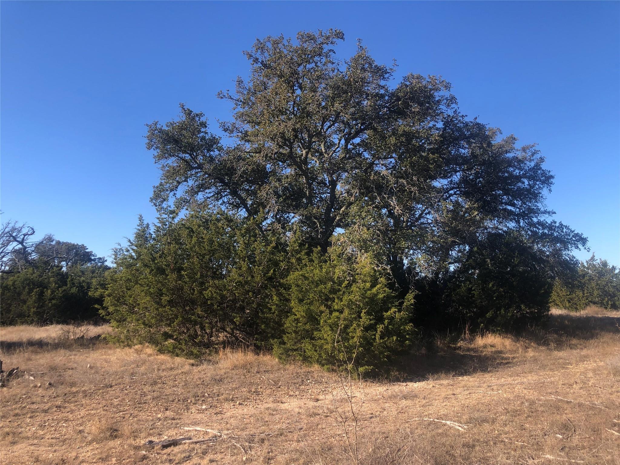 312 Oak Stump DR