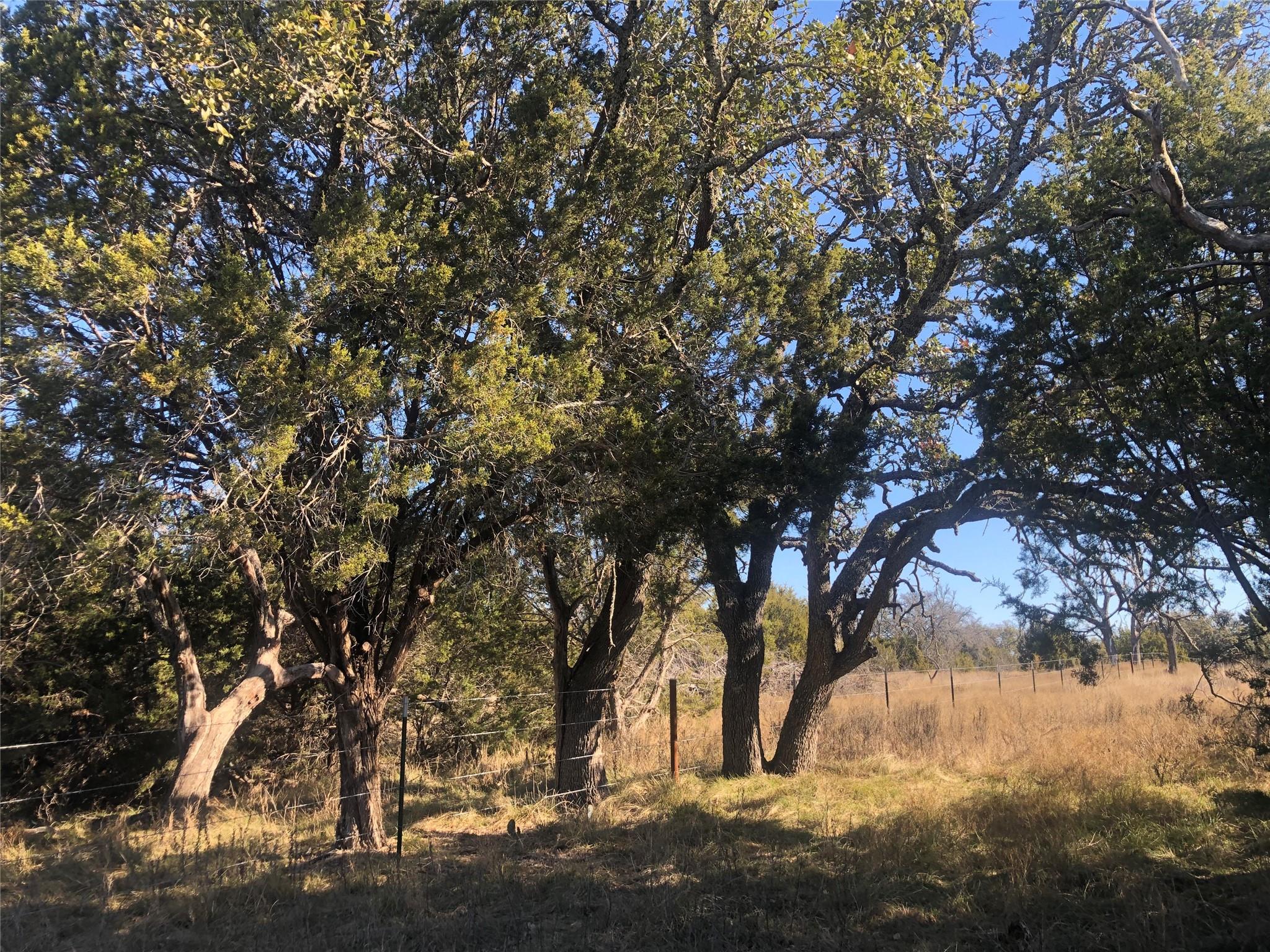 312 Oak Stump DR