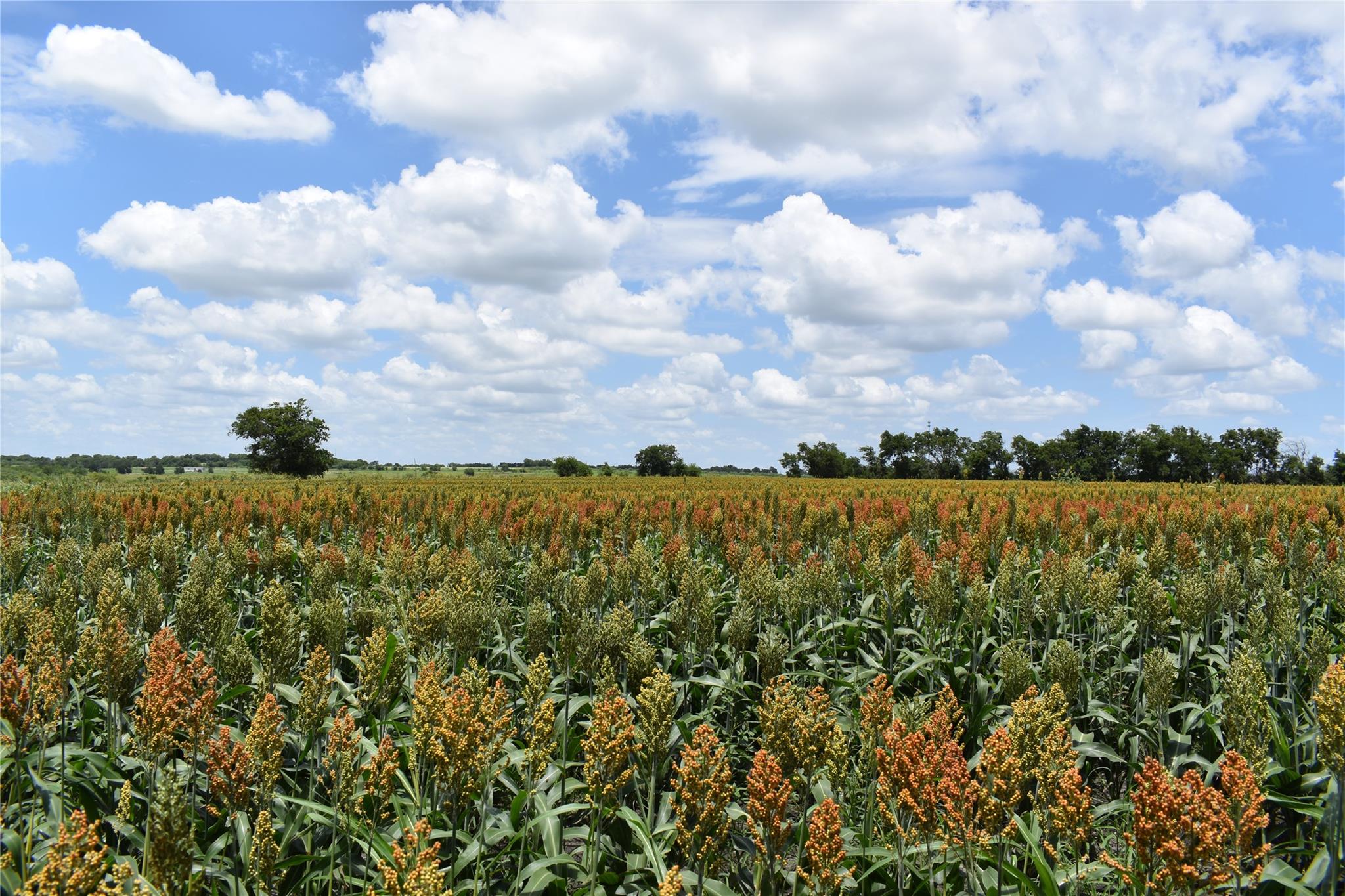 TBD County Road 109