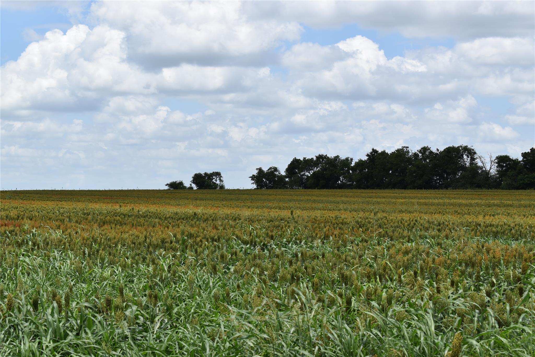 TBD County Road 109