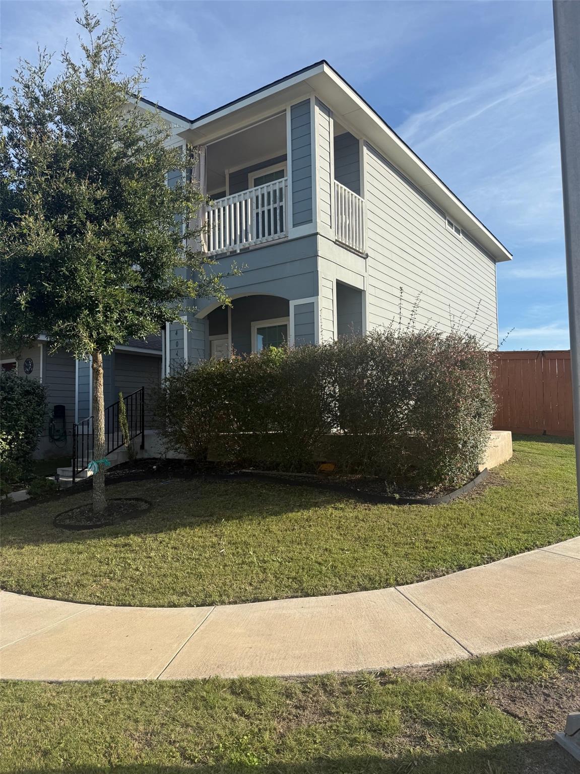 404 Spiny Lizard LN