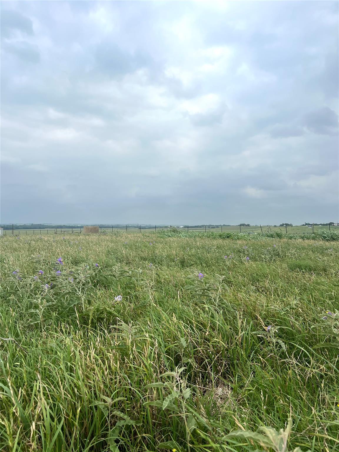 272 County Road 451 RD