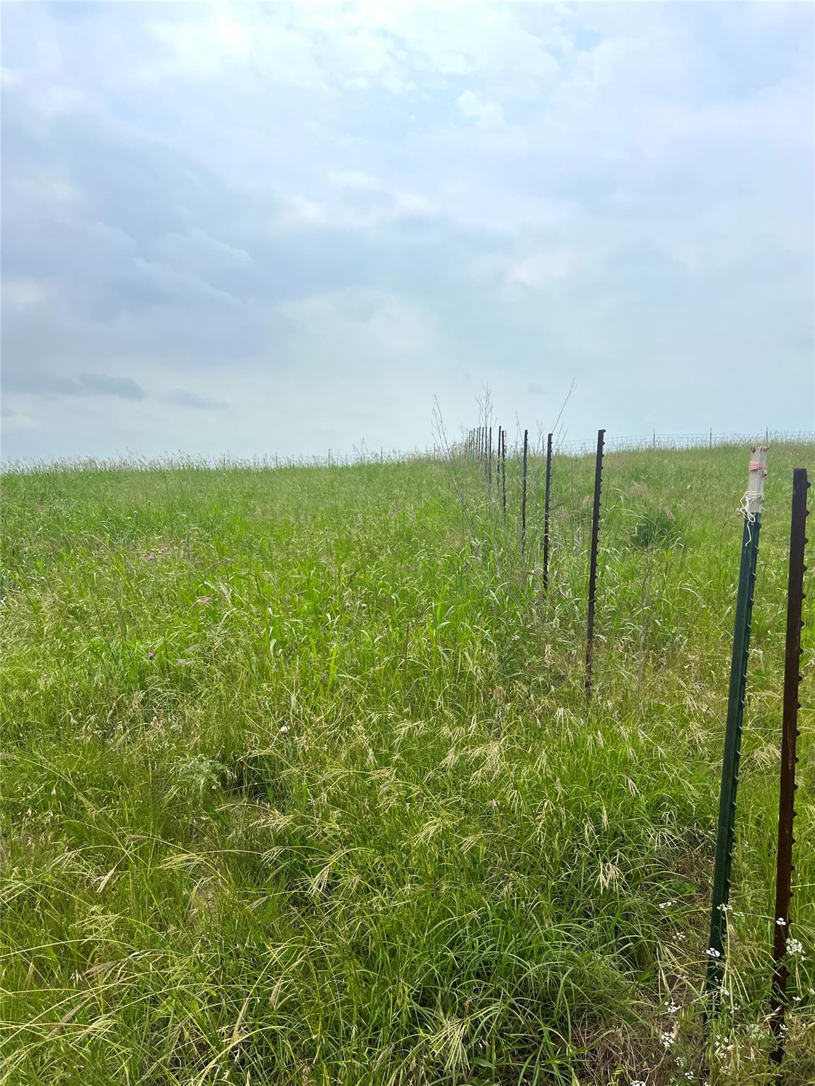 272 County Road 451 RD