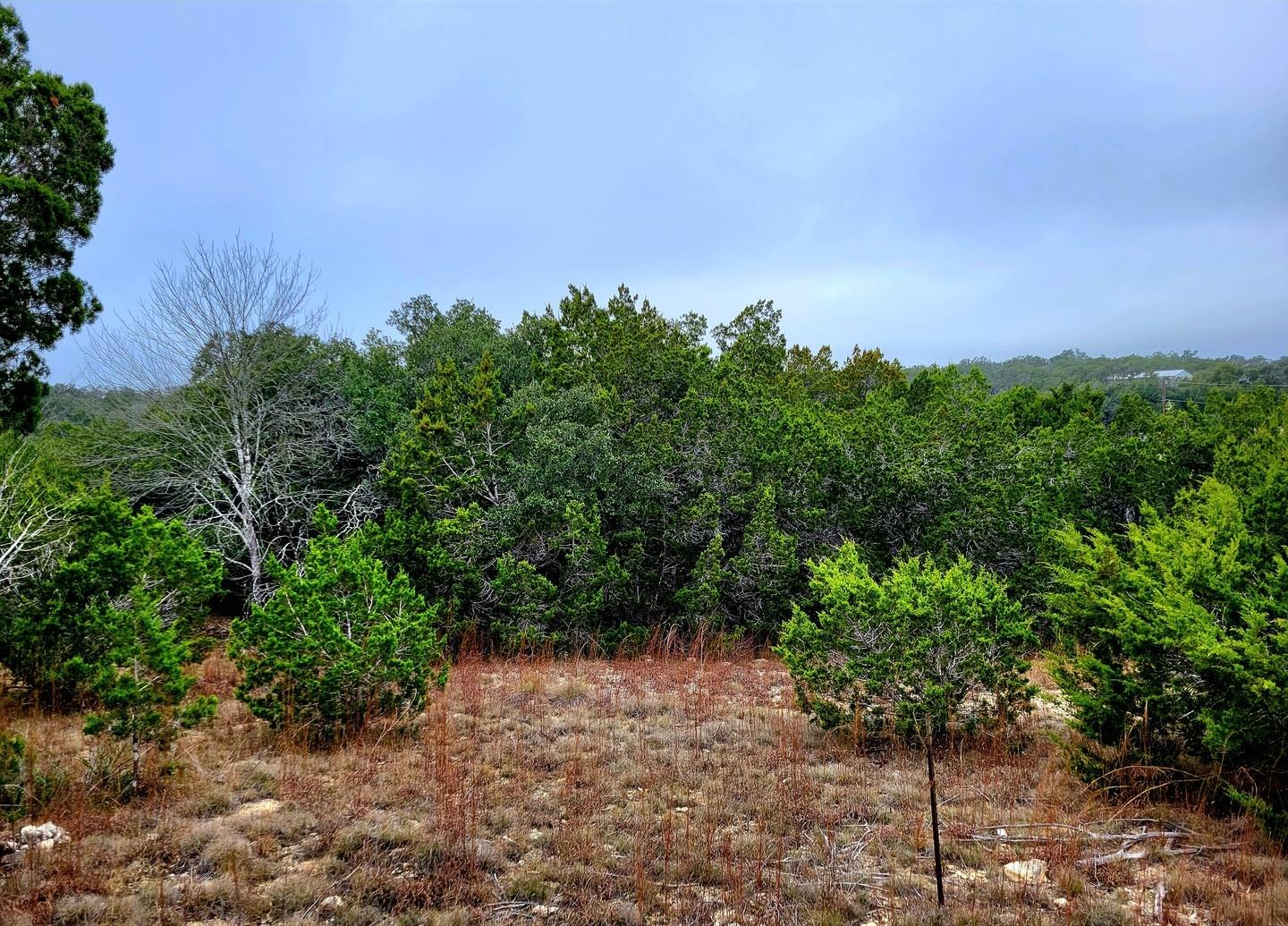 Photo 1 of 8 — 193 Appaloosa DR, Fischer, TX 78623