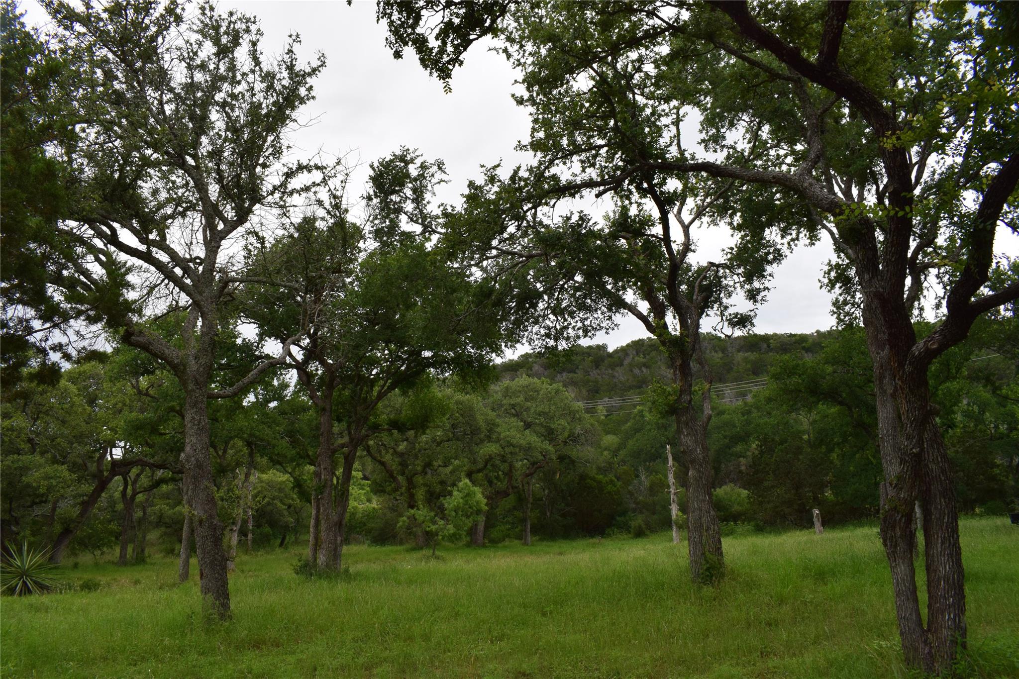 10430 Ranch Road 2341 RD