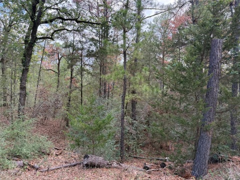 Photo of 125 Lamaloa LN, Bastrop, TX 78602 (MLS # 4569426)