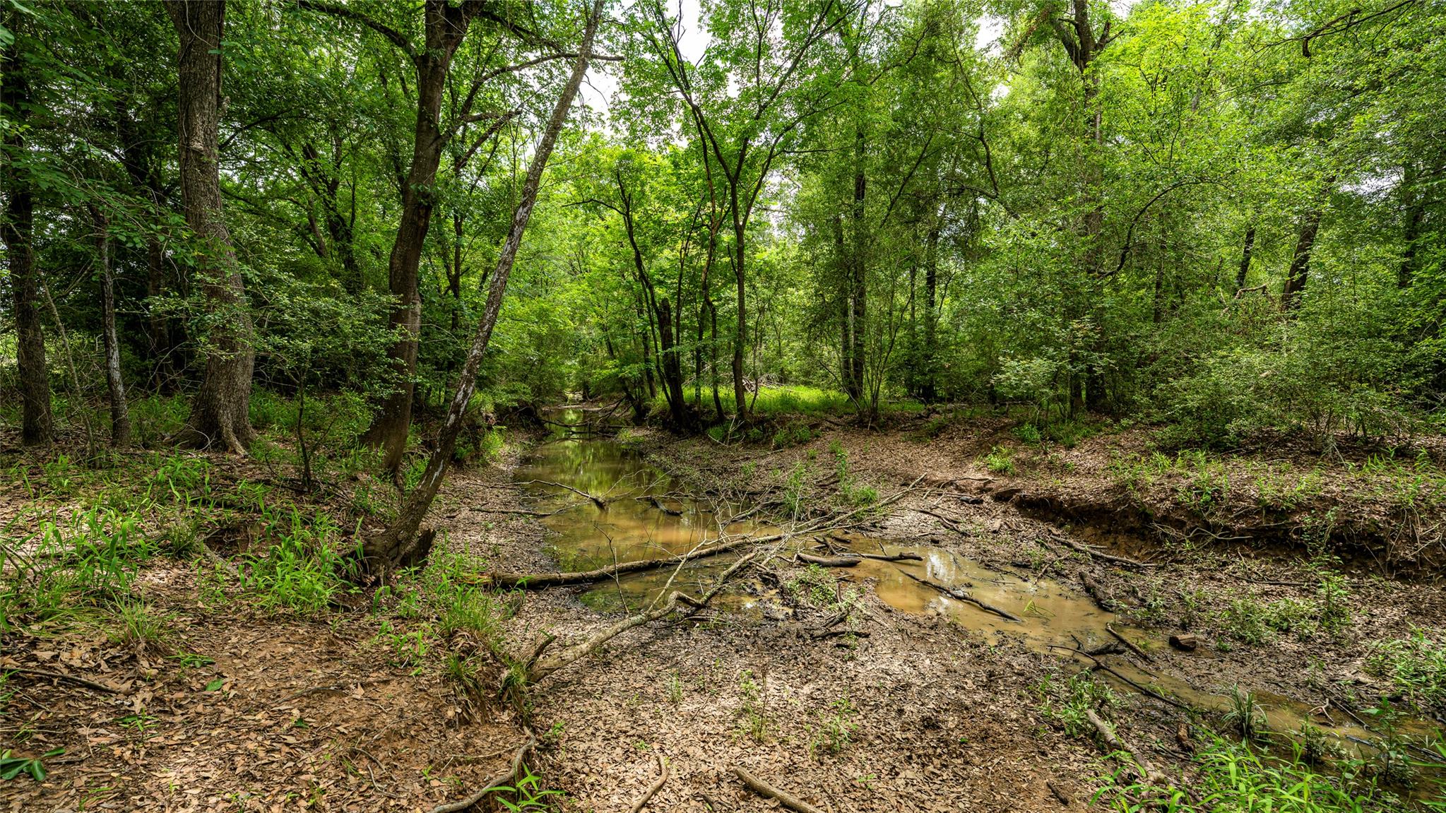 ESMT County Road 302