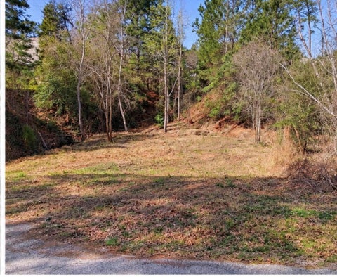 Photo of 0 N Kanaio DR, Bastrop, TX 78602 (MLS # 9328129)