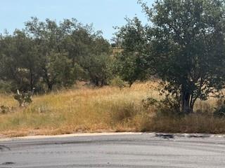 Lot W5017 Up There W