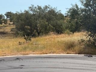 Lot W5017 Up There W