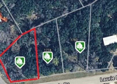 Photo of 616 Kathleen DR, Canyon Lake, TX 78133 (MLS # 1274297)