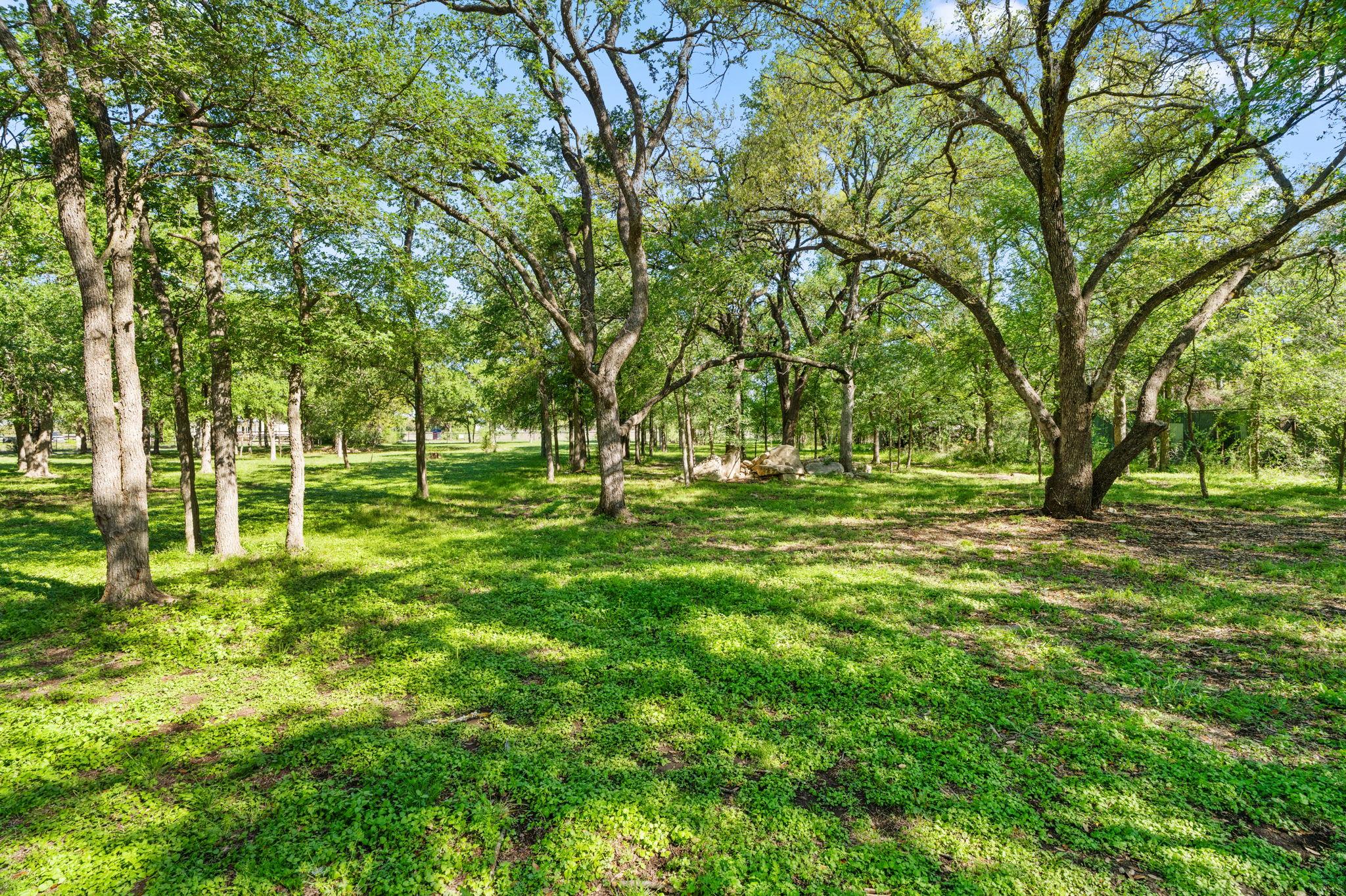 371 County Road 204