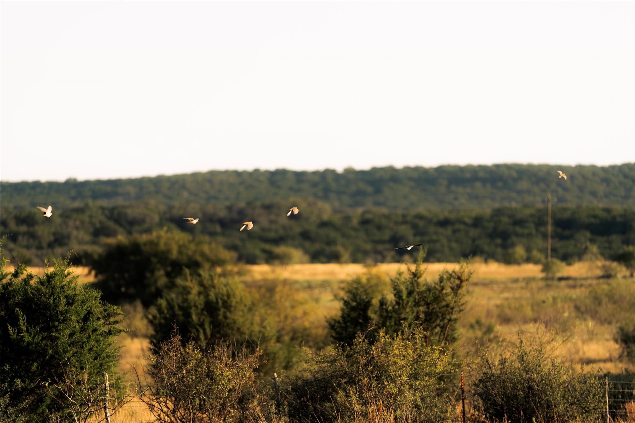 247 E Fm 581 Highway