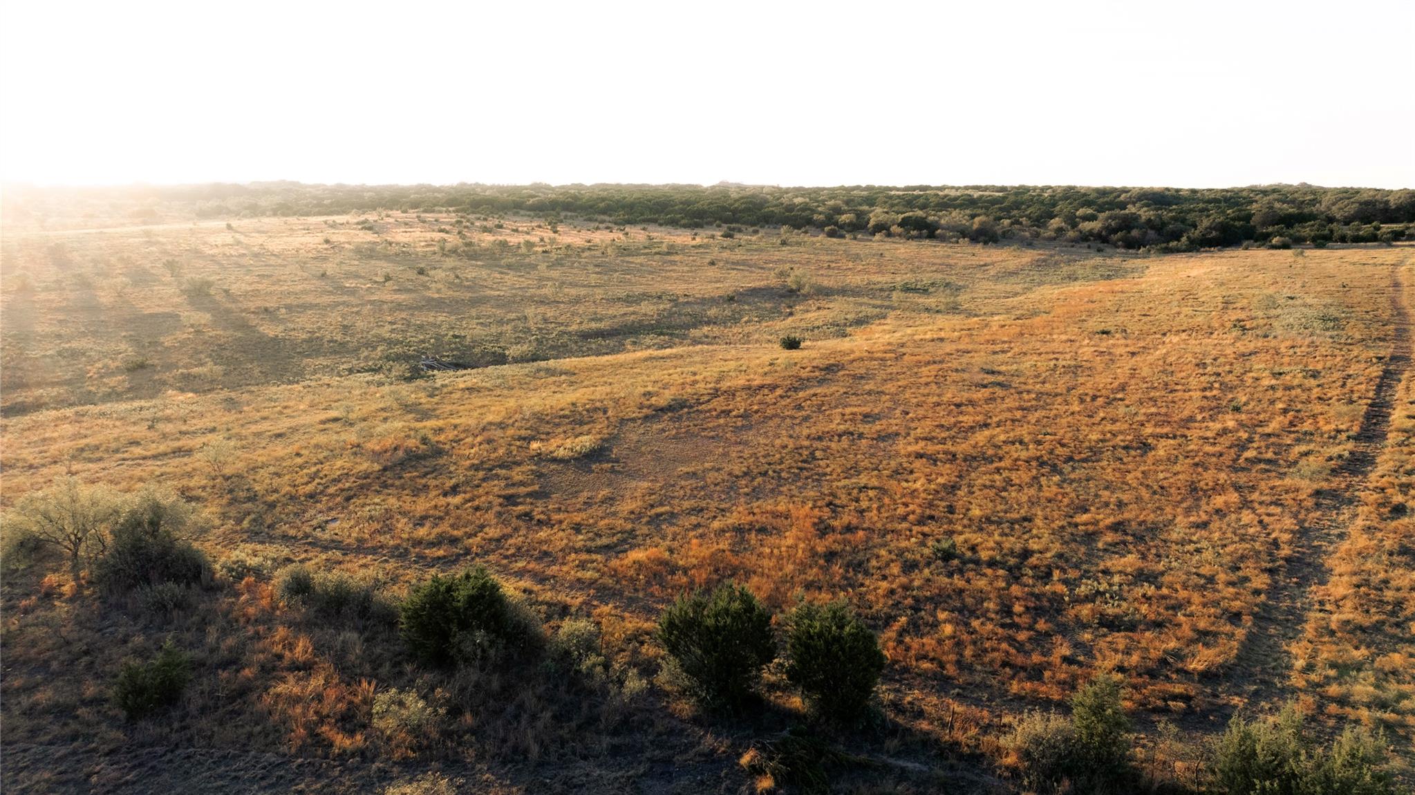 247 E Fm 581 Highway