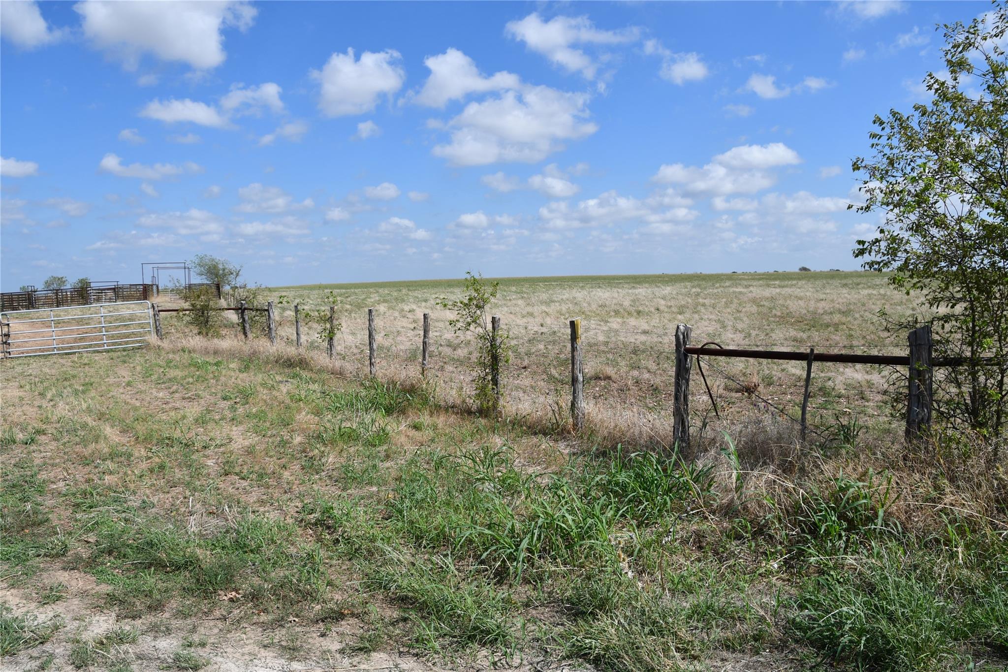 000 County Rd 269