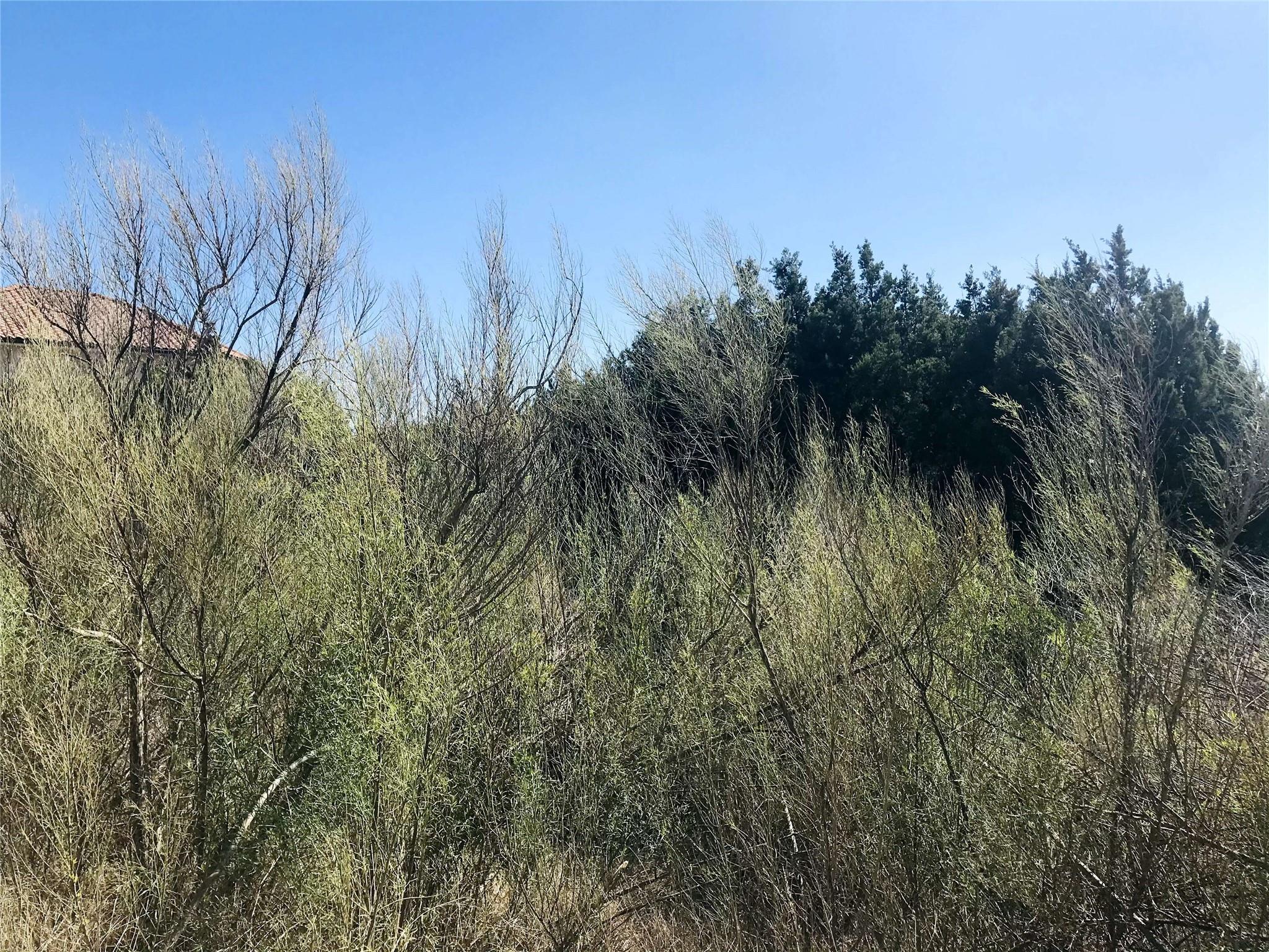 8917 Ranchland Hills BLVD