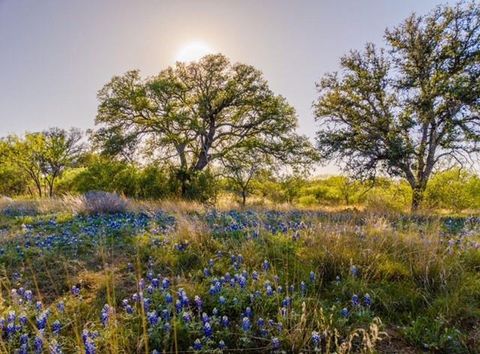 0 Lower Willow Creek Mason TX 76820