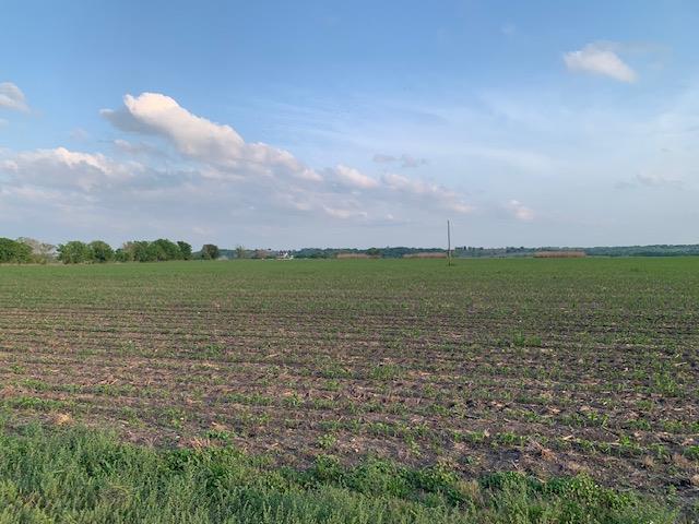 Tract 3 County Road 425